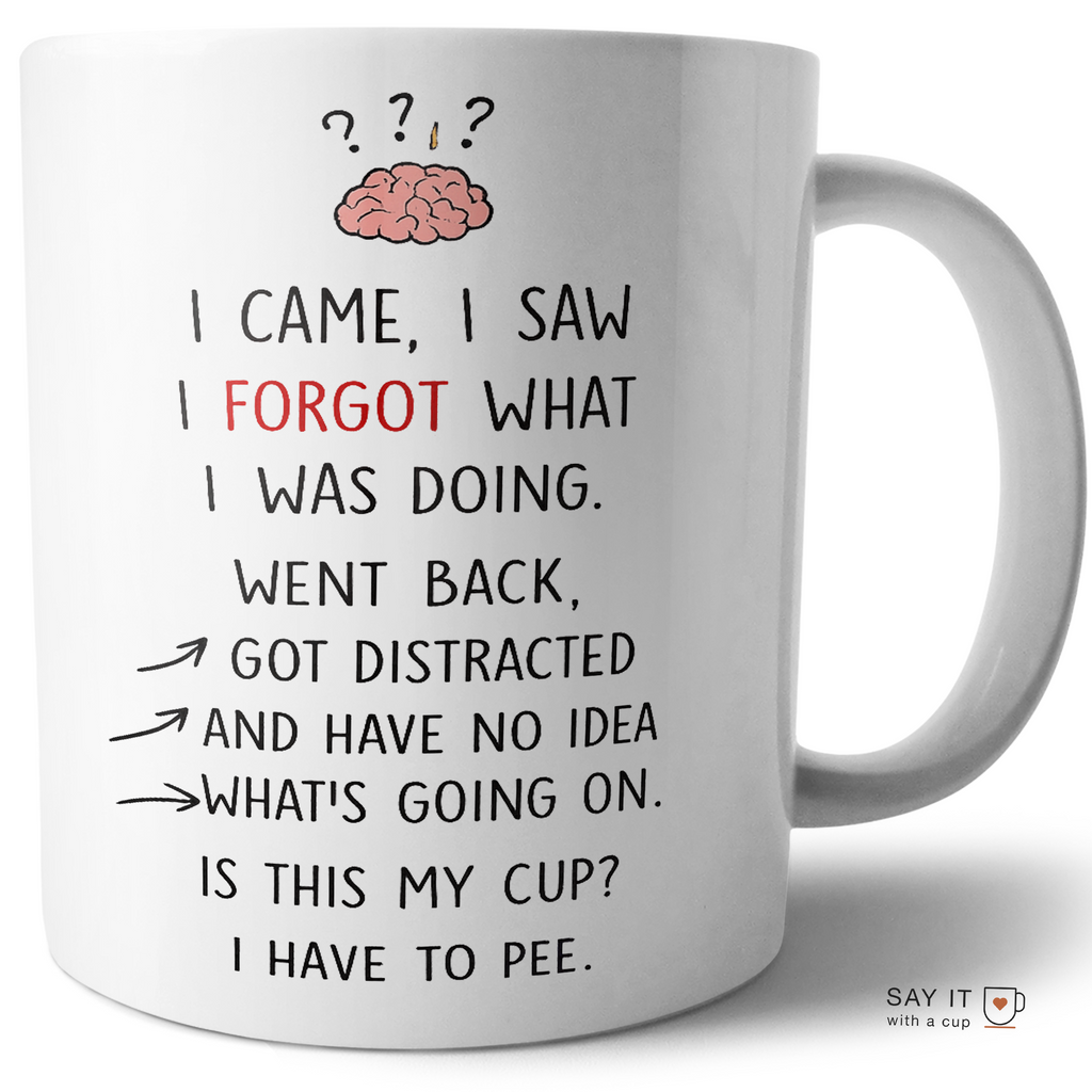 I Came I Saw I Forgot Funny Mug