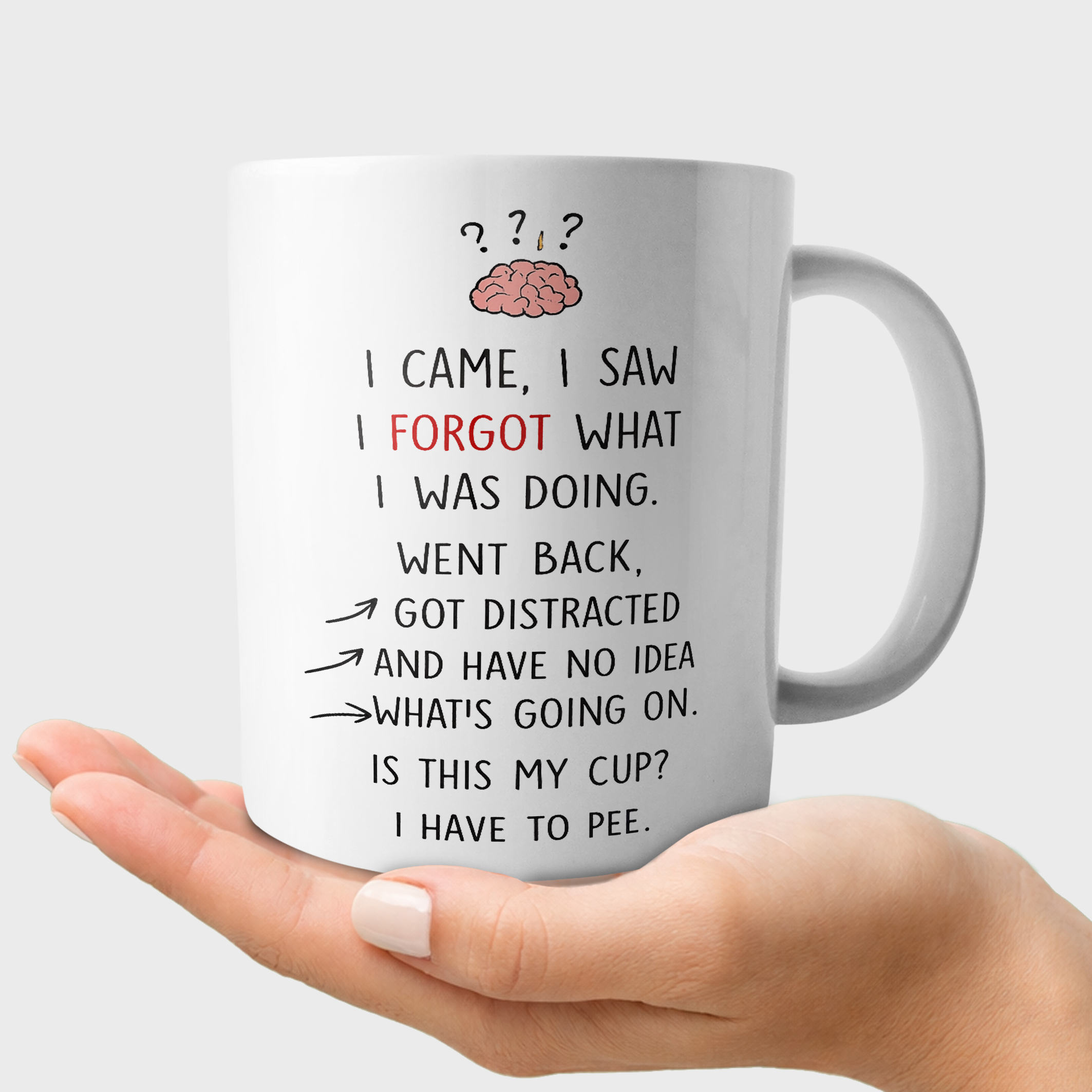 I Came I Saw I Forgot Funny Mug
