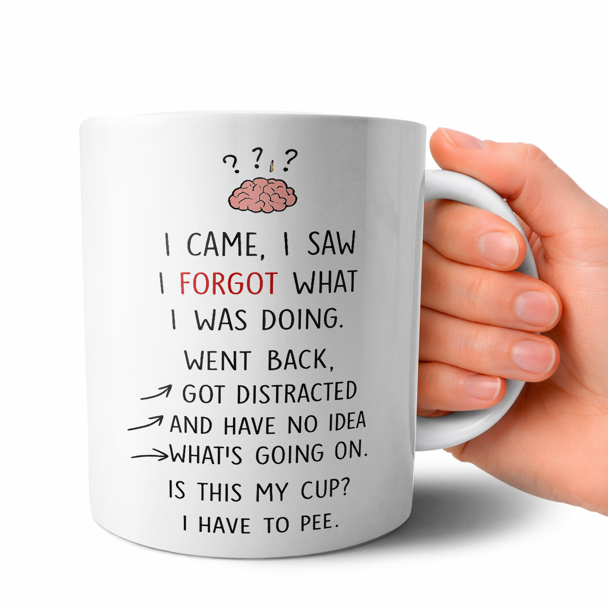 I Came I Saw I Forgot Funny Mug