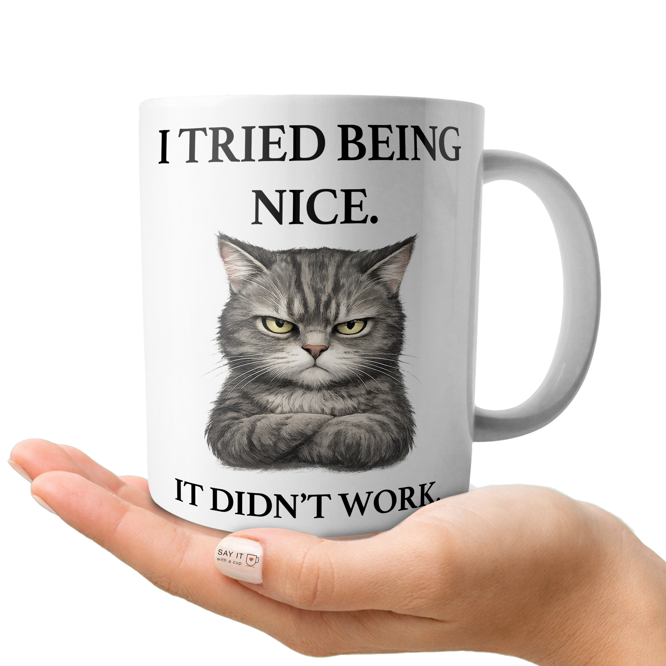I Tried Being Nice...It Didn't Work.
