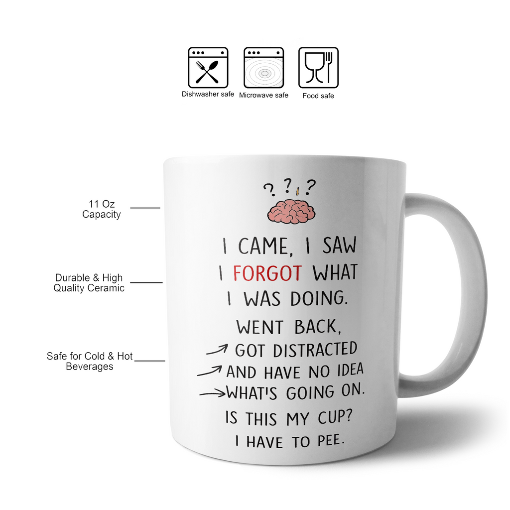 I Came I Saw I Forgot Funny Mug